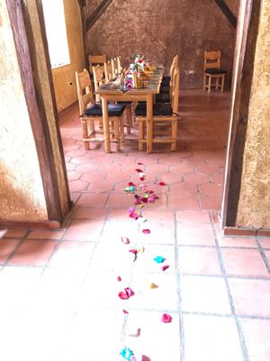 Walking on roses for the Valentines Event at The Culinary Alchemists in Nuevo Arenal