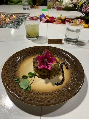 Fifth course at The Culinary Alchemists in Nuevo Arenal