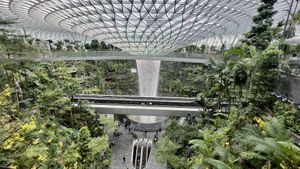 Waterfall view from the dining area   at SIN - Prive - Jewel  in East Singapore