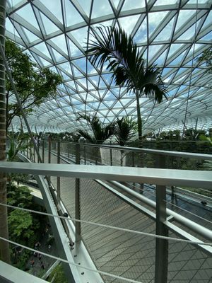 View of the waterfall from my table!  at SIN - Prive - Jewel  in East Singapore