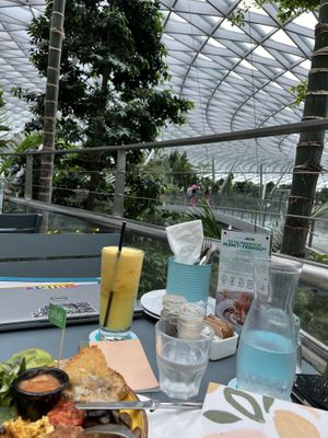 View from my table in the Canapé Park at Jewel  at SIN - Prive - Jewel  in East Singapore