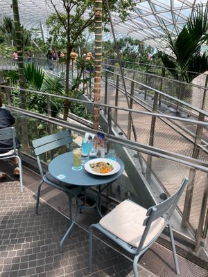 A beautiful spot for a tasty salad at SIN - Prive - Jewel  in East Singapore