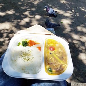 Enjoy my vegetable curry at the public park nearby. at Makarimo Curry in Kyoto