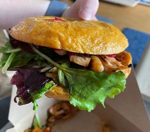   at Elbsalon in Dresden