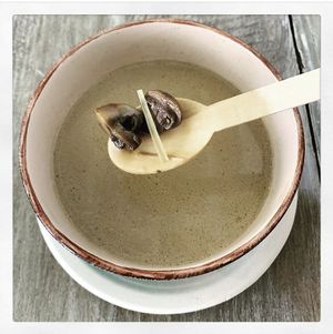 Vegan Tom Kha Gai Soup

 at The Plantisserie in Miami