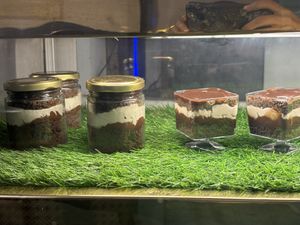   at Loving Hut - Vegan Paradise in Gurgaon