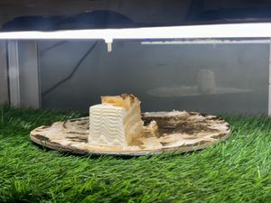   at Loving Hut - Vegan Paradise in Gurgaon