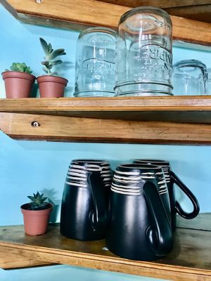 mini succulents🌵 at ReThink in Utila