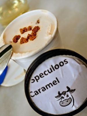 One of 3 ice cream flavors at Liu Lin in Brussels