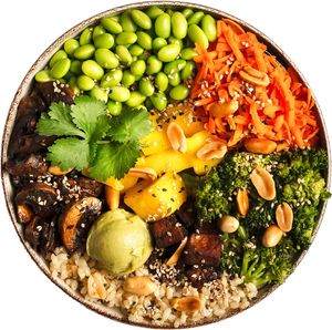 Tokyo Teriyaki | 754 kcal | 36g protein | 900 ML at Rå Bowls & Juices in Groningen