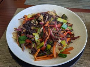  at Hokkaido in Portalegre