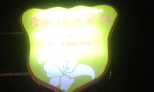 Bad pic of street light at St. Mary's Health Club 聖母醫院健康會館 in Taitung