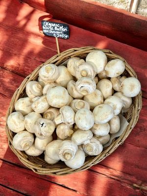  at Organic Buzz in Palmerston North