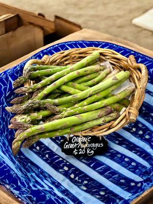  at Organic Buzz in Palmerston North