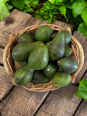  at Organic Buzz in Palmerston North