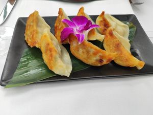 Vegetable Gyoza at Le Nidaux in Nidau
