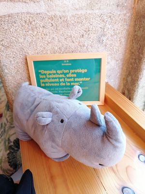 🦏 #Veganuary at L'Ethiquete in Nantes