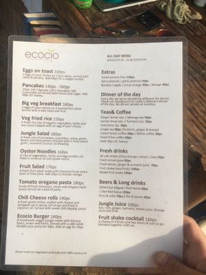 Daily menu, many things can be changed to be vegan - ask the staff  at Ecocio Eco Hostel in Coron