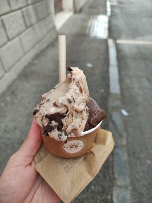 Vegan ice cream at Gelateria La Romana - Santa Teresa in Turin