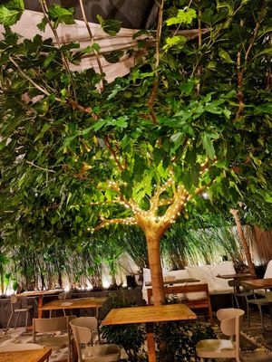  at RE Organic in Mallorca