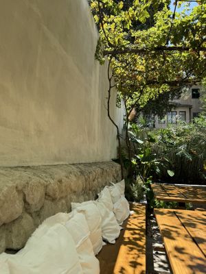   at RE Organic in Mallorca