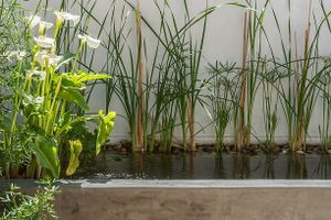 Relax with the sound of water. at RE Organic in Mallorca