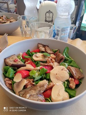 Insalatona con funghi, pomodorini, melanzane e noci at La Carapina in Rapallo