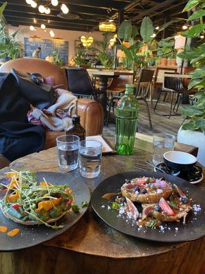   at Urban House in Bratislava