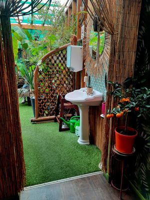  at Jungle Cafe in Galway