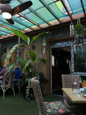   at Jungle Cafe in Galway