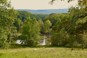 View from the Agnes Room at The Gray Barn in High Falls