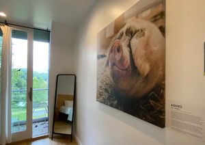 The Agnes Room at The Gray Barn in High Falls