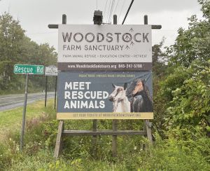   at The Gray Barn in High Falls