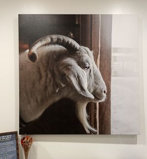   at The Gray Barn in High Falls