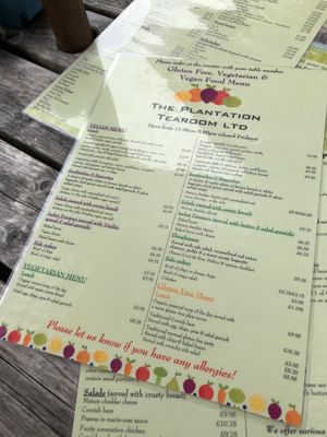 Separate vegan/veggie/gluten free menu!
 at The Plantation Restaurant & Tea Rooms in Polperro