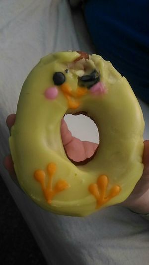 Vegan banana chick at Vandal Doughnuts - Gottingen St in Halifax