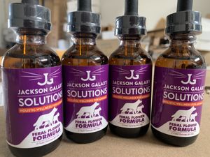 Jackson Galaxy holistic solutions at Eco Dogs And Cats in Huntington Beach