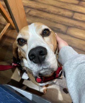   at Sea Change  in South Shields