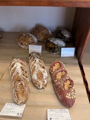   at April and May 45 꽃피는 4월 밀익는 5월 in Busan