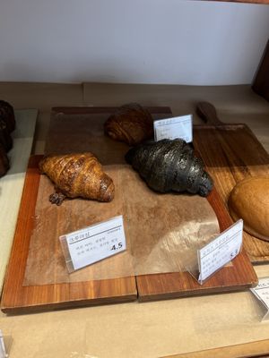   at April and May 45 꽃피는 4월 밀익는 5월 in Busan