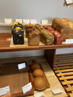   at April and May 45 꽃피는 4월 밀익는 5월 in Busan