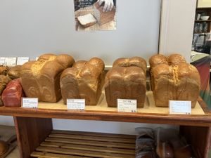   at April and May 45 꽃피는 4월 밀익는 5월 in Busan