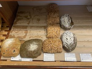   at April and May 45 꽃피는 4월 밀익는 5월 in Busan