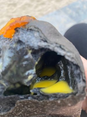 This black bread was filled with vegan cheese, very interesting  #Veganuary at April and May 45 꽃피는 4월 밀익는 5월 in Busan