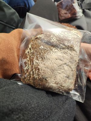  at April and May 45 꽃피는 4월 밀익는 5월 in Busan