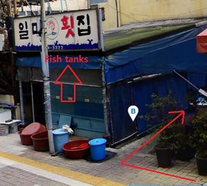 Map at April and May 45 꽃피는 4월 밀익는 5월 in Busan