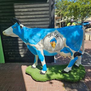  at Cielo Gelato & Pizza in Willemstad