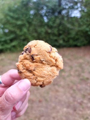 Nice vegan cookies at Bisschopsmolen in Maastricht