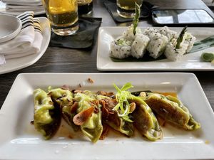 Vegetable roll and vegetable dumplings at Sekushi in Clearwater