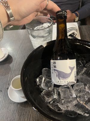   at Sekushi in Clearwater